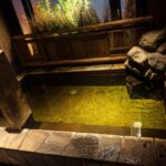 別荘民泊は本当に何もしなくていい？完全委託管理の全貌を解説