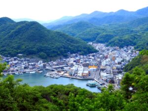 【相談事例】岡山県の海沿い古民家：総額1000万円・利回り15%は狙えるか。地方民泊の「収益の壁」を正直に診断