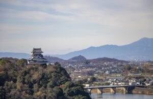 【相談事例】愛知県犬山市の物件:民泊の運営代行に関するご相談