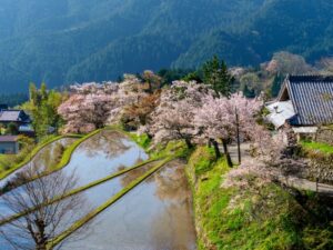 【相談事例】三重県津市の戸建て:家主不在型民泊の管理委託範囲と採算性のご相談