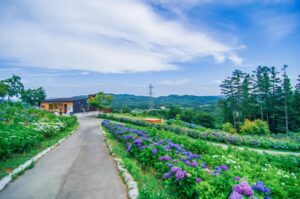 【相談事例】高知県の空き家：入居トラブルで傷んだ実家を、まず「民泊にできるか」から確認する